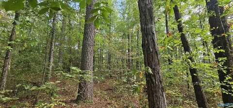 7.82 +/- Acres N Alabama Highway 79, Scottsboro, AL 35768