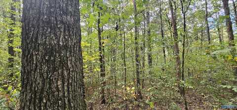 7.82 +/- Acres N Alabama Highway 79, Scottsboro, AL 35768