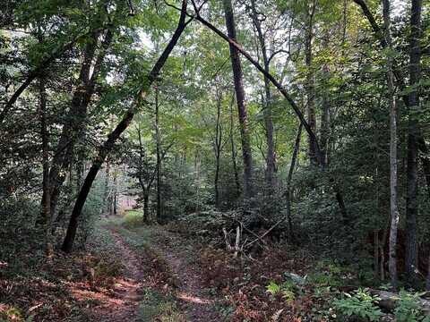 Lot 5 Thrasher Drive, Blue Ridge, GA 30513