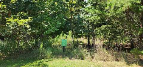 Lot 12 Yellow Maple Lane, Murphy, NC 28906