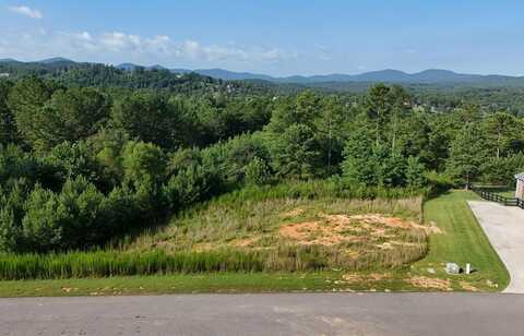 278 Ridge Pointe Way, Blairsville, GA 30512