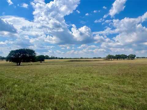 Tbd 30 Acres FM 1446, Waxahachie, TX 75167