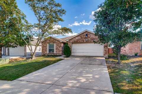 1017 Singletree Drive, Forney, TX 75126