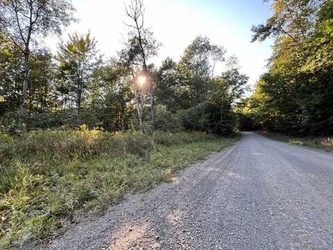 Lot 4 Lockwood Run Road, Baldwin, NY 14859