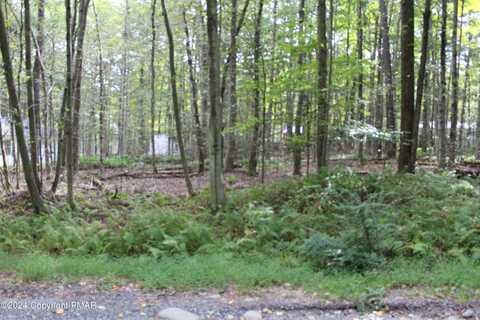 Muskwink Dr1, Pocono Lake, PA 18347