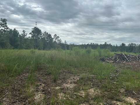 240 Baucum Road, Carriere, MS 39426