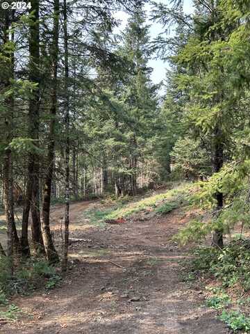 3647 Briar Knob LOOP, Scotts Mills, OR 97375