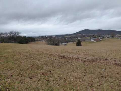 Tbd Lot 9 Holston Road, Wytheville, VA 24382