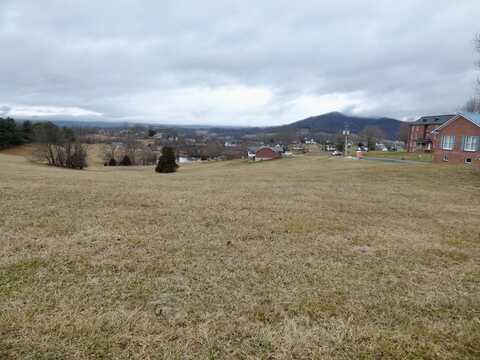 Tbd Lot 11 Holston Road, Wytheville, VA 24382