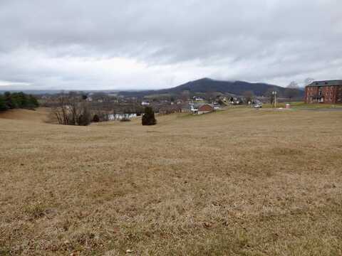 Tbd Lot 10 Holston Road, Wytheville, VA 24382