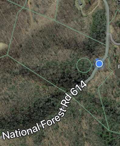 12.93 Ac Forest Service Rd. 614, Saltville, VA 24370