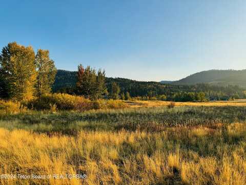 54 WARM CREEK Lane, Victor, ID 83455