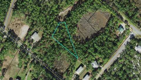 Lots 20&21 Tarpine Drive, PANACEA, FL 32346