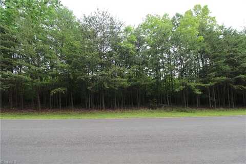 0 Apple Blossom Lane, Westfield, NC 27053