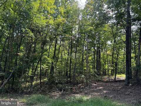 LOT 1, N TIMBER RIDGE ROAD, CROSS JUNCTION, VA 22625