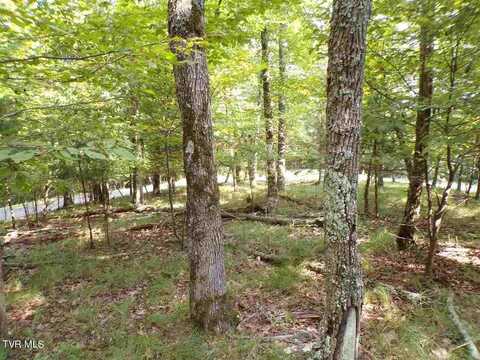 1433/1437 Echota Lane, Mooresburg, TN 37811