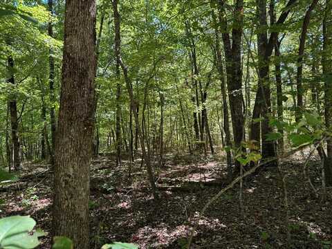 Lot 30 Tower Rd., MONTEREY, TN 38574