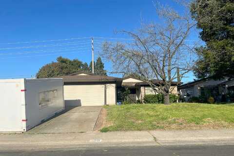 Sugar Maple, CITRUS HEIGHTS, CA 95610