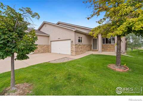 Finch, FORT COLLINS, CO 80525