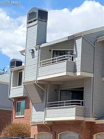 Iguana, COLORADO SPRINGS, CO 80910