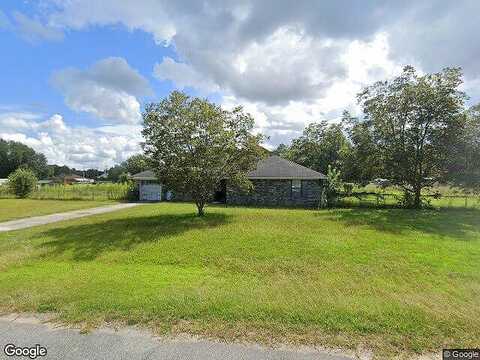 Chap, LUDOWICI, GA 31316