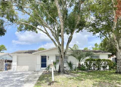 Burbank, BROOKSVILLE, FL 34604