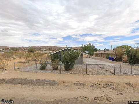 Verbena, JOSHUA TREE, CA 92252