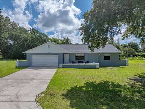 Elaine, ZEPHYRHILLS, FL 33541