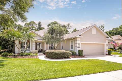 Greenbriar, MOUNT DORA, FL 32757