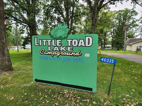 Little Toad, FRAZEE, MN 56544