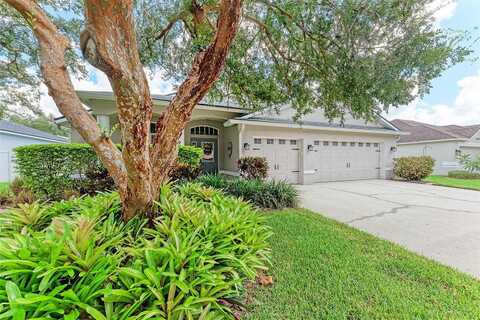 Valencia Grove, VALRICO, FL 33596