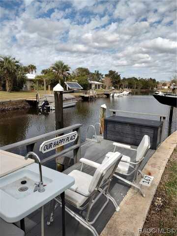 Seagull, CRYSTAL RIVER, FL 34429