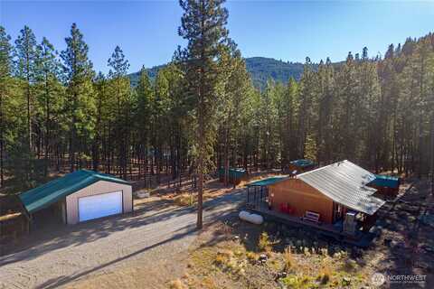 Airstrip, TWISP, WA 98856