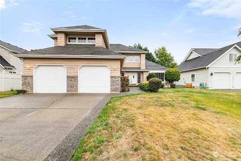 Camelia, LYNDEN, WA 98264