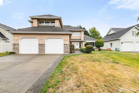 Camelia, LYNDEN, WA 98264