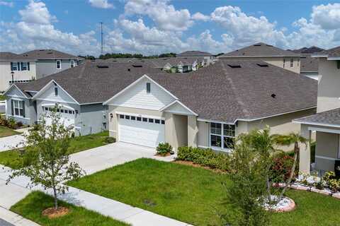 Lilyturf, TAVARES, FL 32778