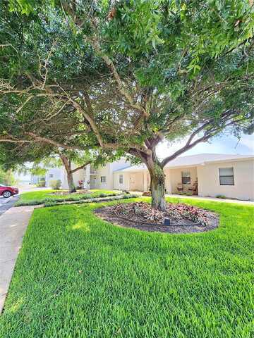 Peninsula, NEW SMYRNA BEACH, FL 32169