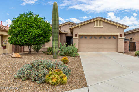 Gentle Rain, MARANA, AZ 85658