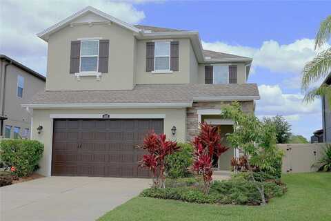 Tramanto, WESLEY CHAPEL, FL 33543