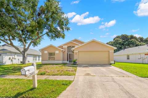 Tall Grass, WESLEY CHAPEL, FL 33543