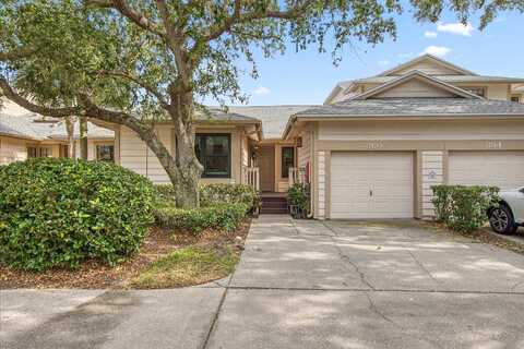 Amelia, SAINT PETERSBURG, FL 33702