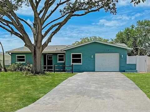 David, PALM HARBOR, FL 34684