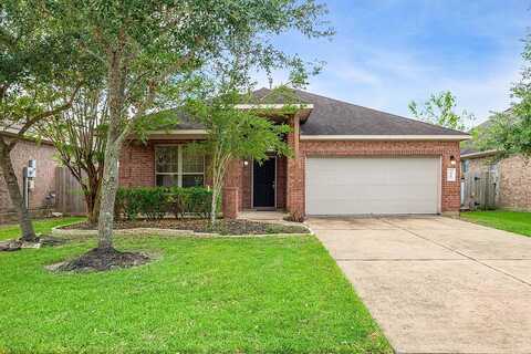 Doves Nest, DICKINSON, TX 77539