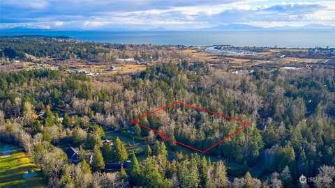 Iris, POINT ROBERTS, WA 98281