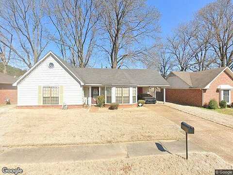 Gadwall, MEMPHIS, TN 38141