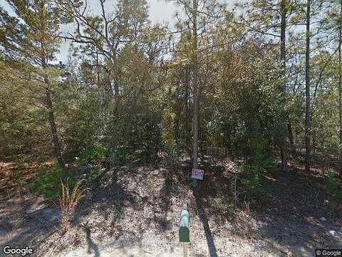 Sumac, INTERLACHEN, FL 32148