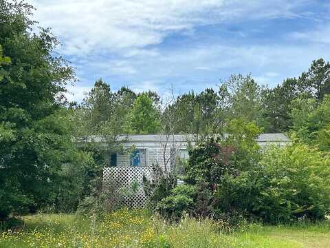 Branch, NEWPORT, NC 28570