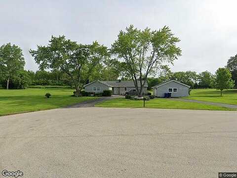 Cherry Tree, WADSWORTH, IL 60083