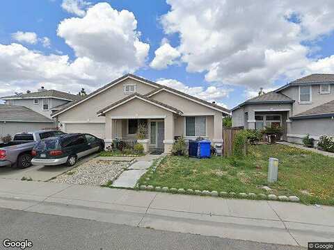 Boysenberry, ELK GROVE, CA 95624