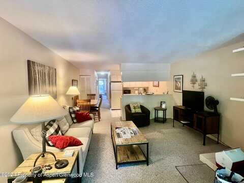 210 E Cooper Avenue, Aspen, CO 81611